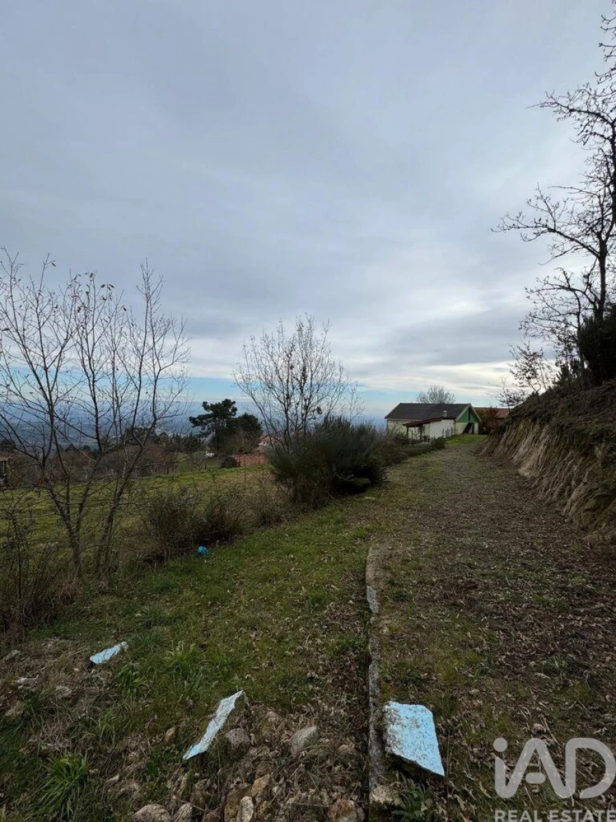 Quinta T2 para Venda em Fornelo do Monte Foto 24