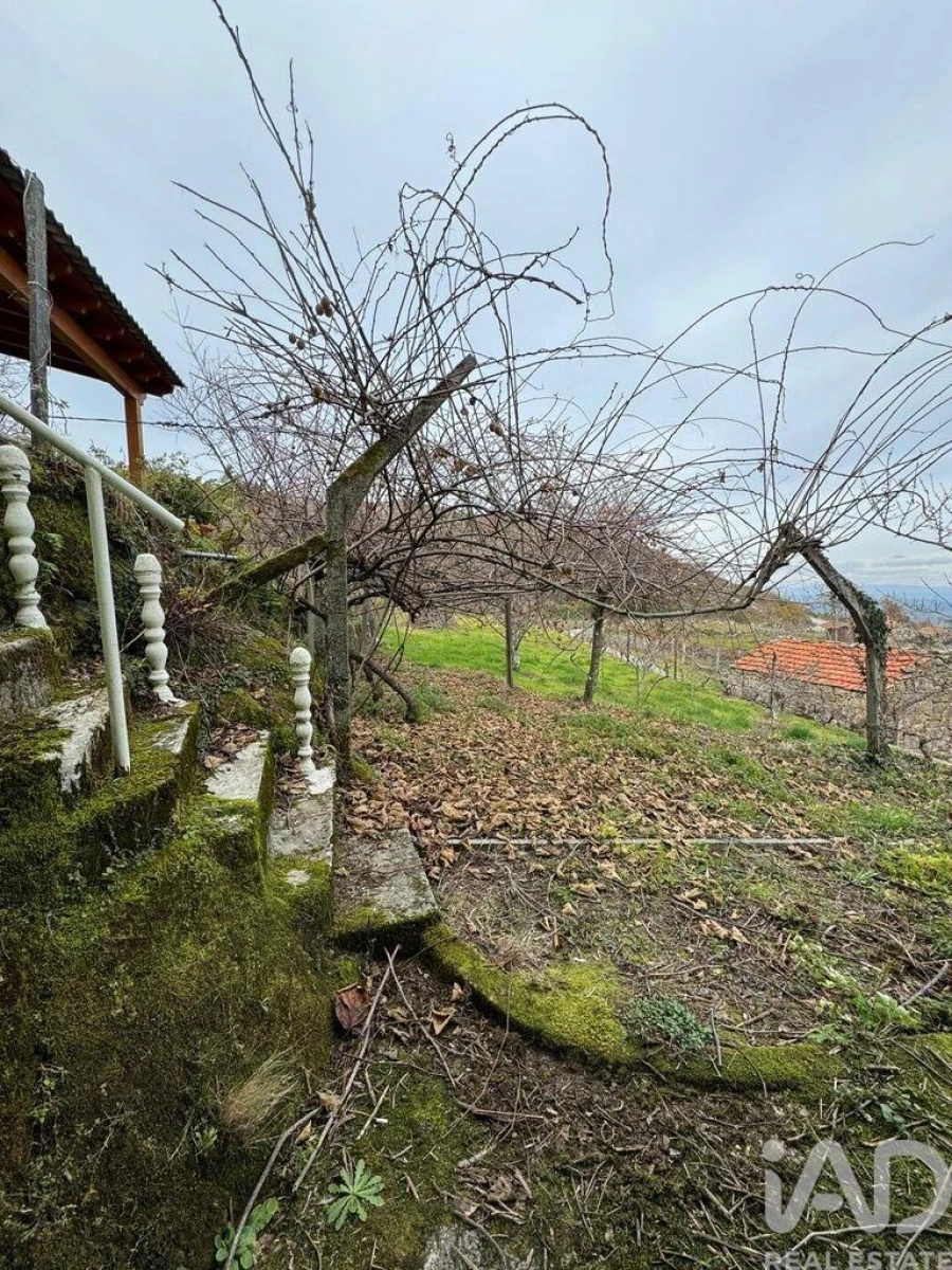 Quinta T2 para Venda em Fornelo do Monte Foto 15