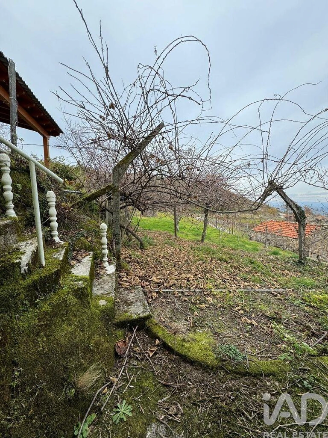 Quinta T2 para Venda em Fornelo do Monte Foto 15