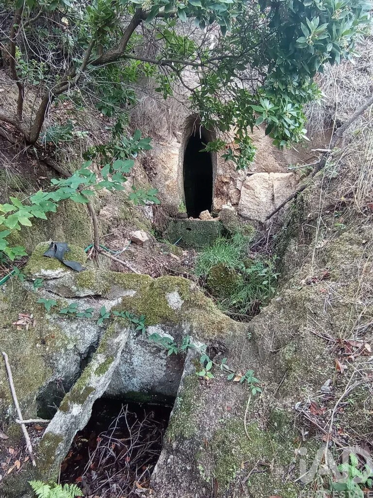 Terreno para Venda em Sendim Foto 11