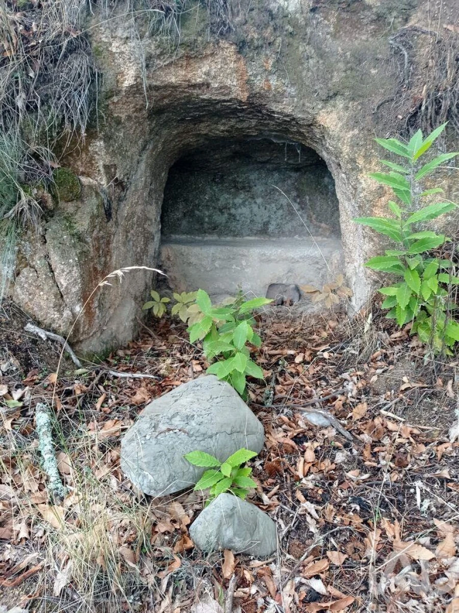 Terreno para Venda em Sendim Foto 6