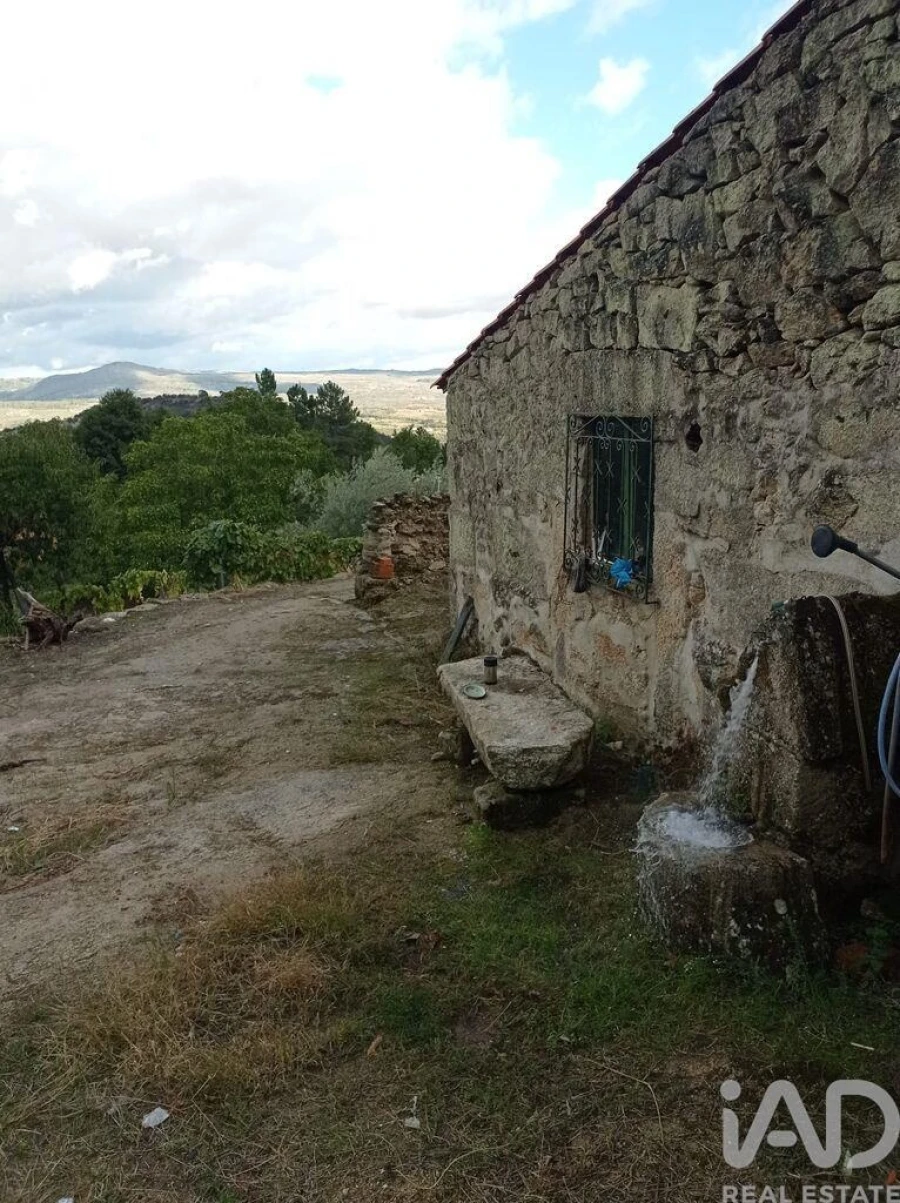 Terreno para Venda em Sendim Foto 3