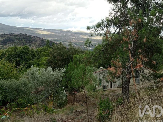 Terreno para Venda em Sendim Foto 17