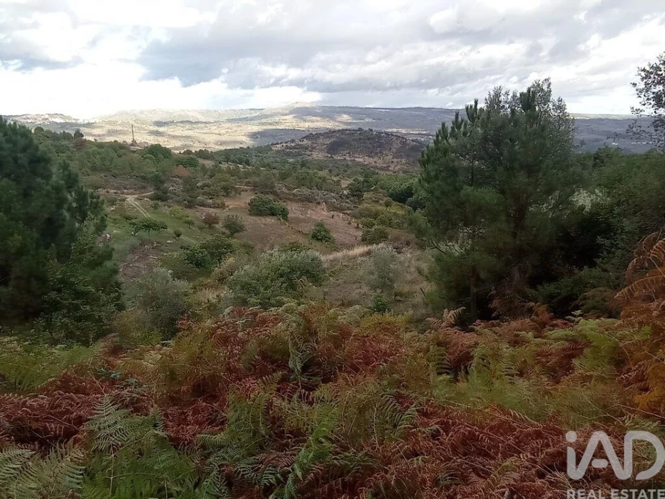 Terreno para Venda em Sendim Foto 9