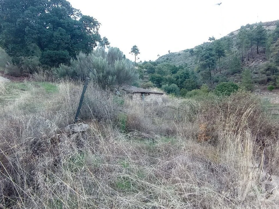 Terreno para Venda em Sendim Foto 10