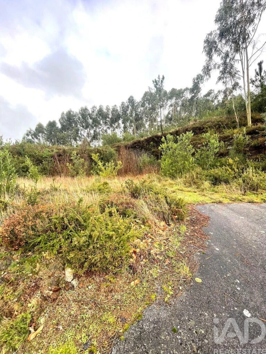 Terreno para Venda em Outeiro Foto 11
