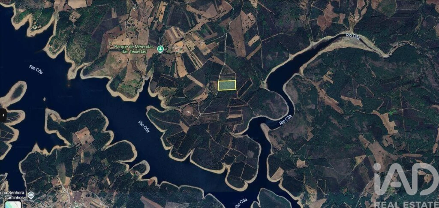 Terreno para Venda em Sabugal e Aldeia de Santo António Foto 4