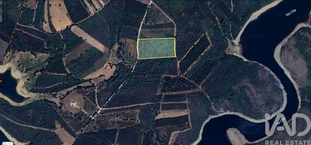 Terreno para Venda em Sabugal e Aldeia de Santo António Foto 3