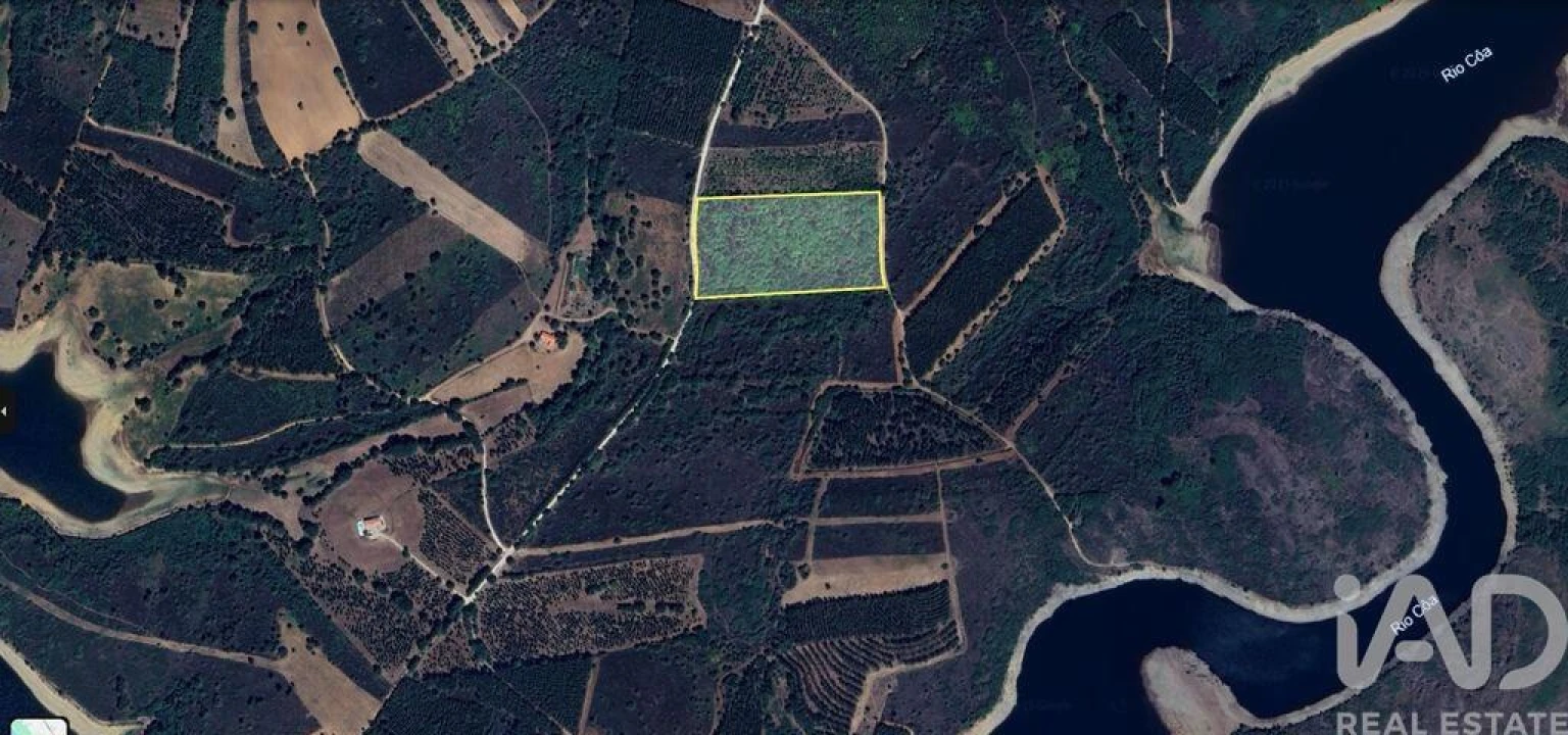 Terreno para Venda em Sabugal e Aldeia de Santo António Foto 3