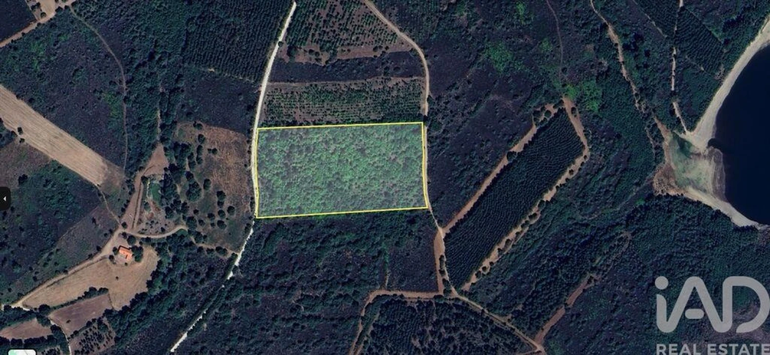 Terreno para Venda em Sabugal e Aldeia de Santo António Foto 2