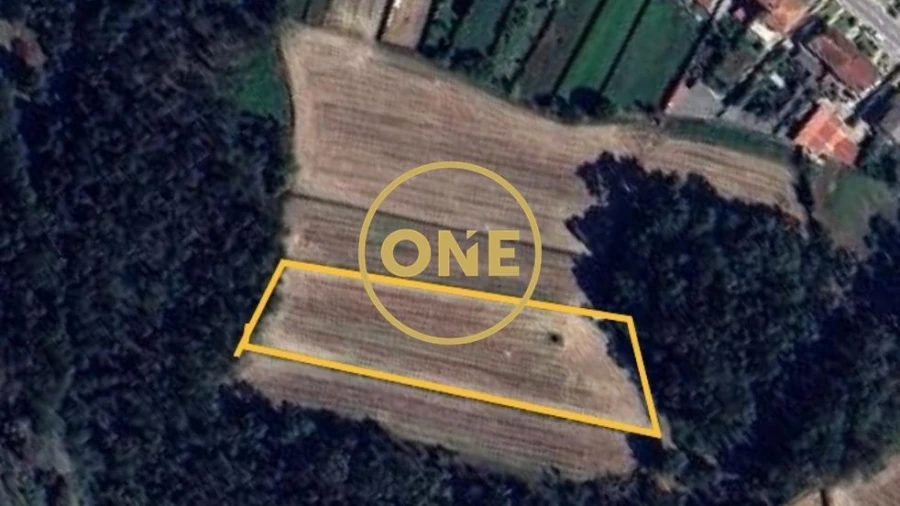 Terreno para Venda em Laundos