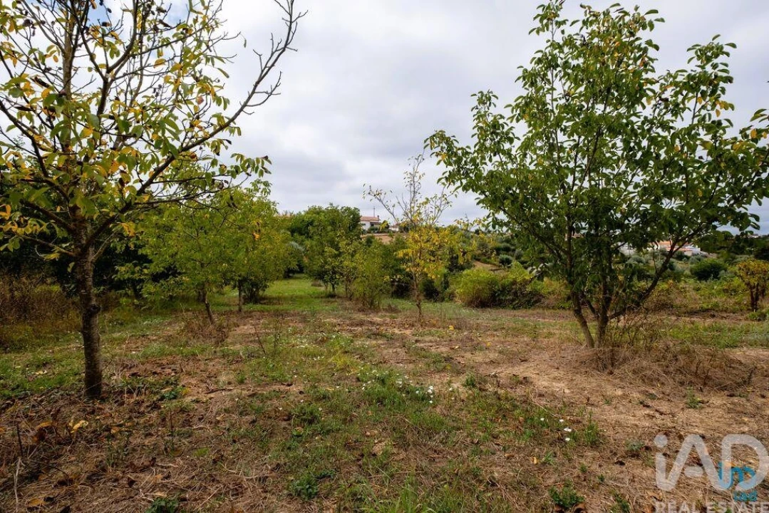 Moradia T4 para Venda em Oliveira do Mondego e Travanca do Mondego Foto 32