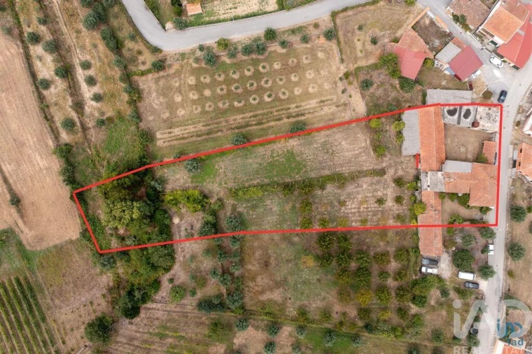 Moradia T4 para Venda em Oliveira do Mondego e Travanca do Mondego Foto 4