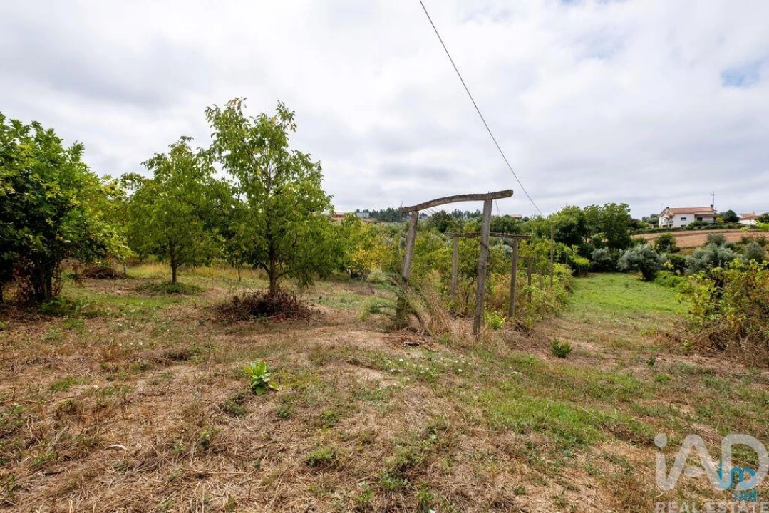 Moradia T4 para Venda em Oliveira do Mondego e Travanca do Mondego Foto 27