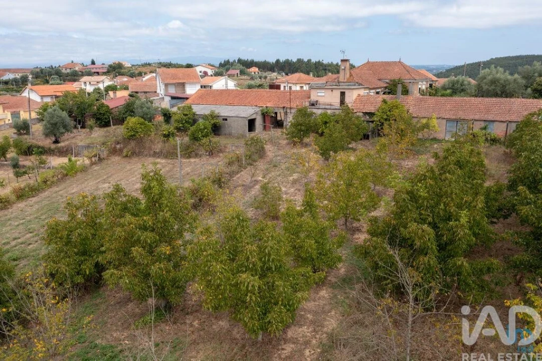 Moradia T4 para Venda em Oliveira do Mondego e Travanca do Mondego Foto 28