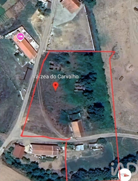 Terreno para Venda em São Teotónio