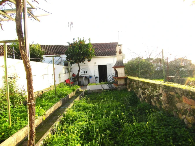 Moradia T3 para Venda em Gafete Foto 30