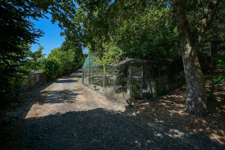 Quinta T4 para Venda em Esmeriz e Cabeçudos Foto 6