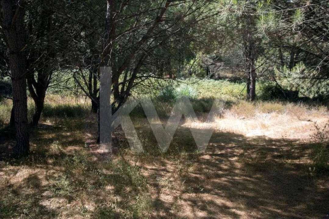 Terreno para Venda em Santo Estêvão Foto 5