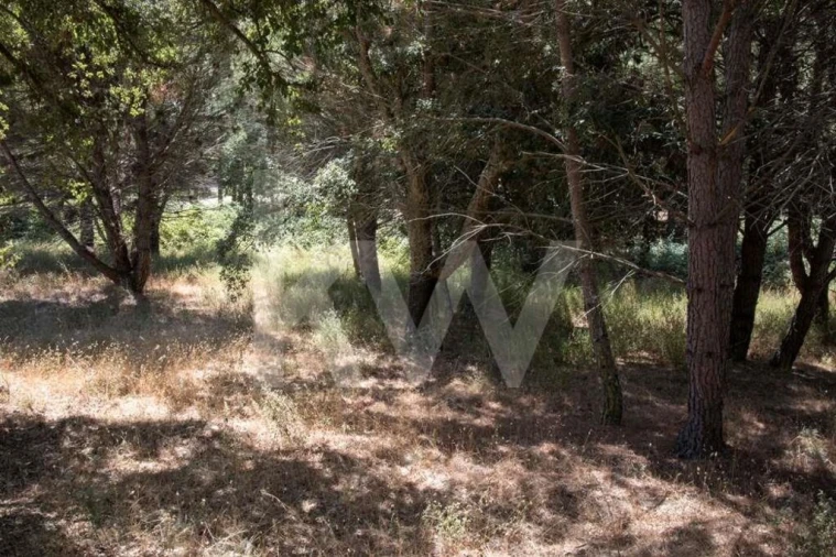 Terreno para Venda em Santo Estêvão Foto 6