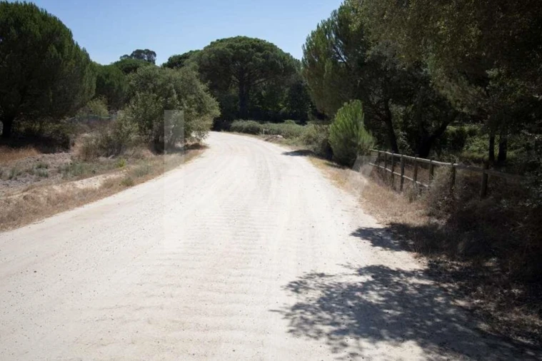 Terreno para Venda em Santo Estêvão Foto 10