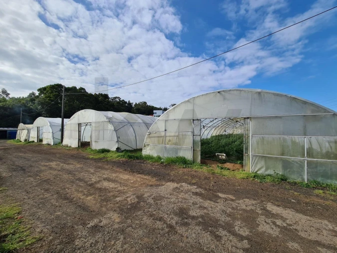 Terreno para Venda em Fajã de Baixo Foto 3