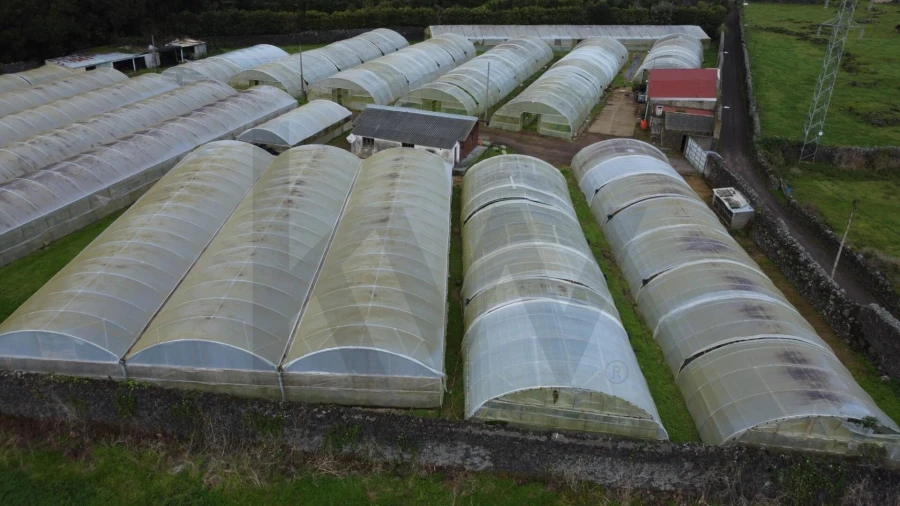 Terreno para Venda em Fajã de Baixo Foto 6