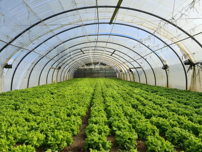 Terreno para Venda em Fajã de Baixo Foto 4