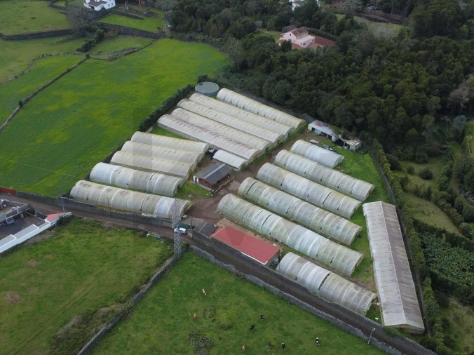 Terreno para Venda em Fajã de Baixo Foto 7
