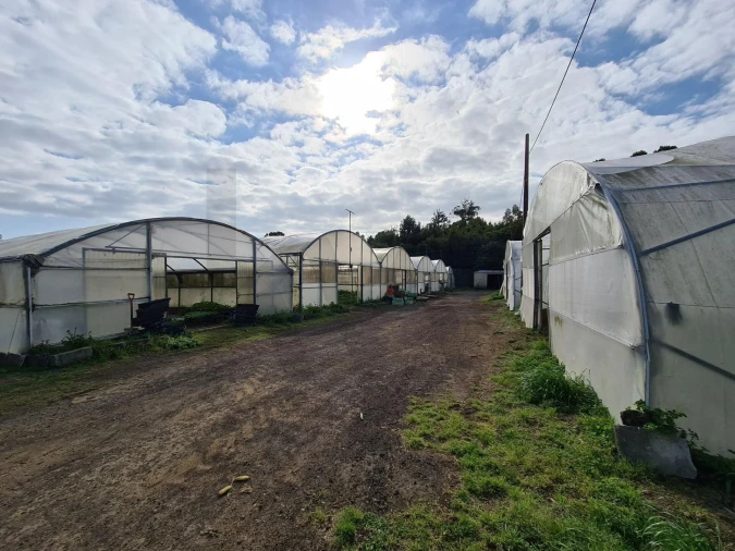Terreno para Venda em Fajã de Baixo Foto 2