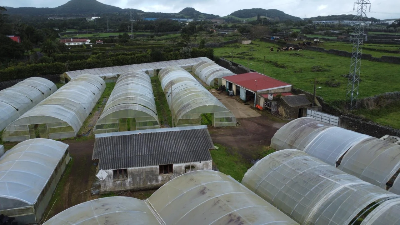 Terreno para Venda em Fajã de Baixo Foto 5