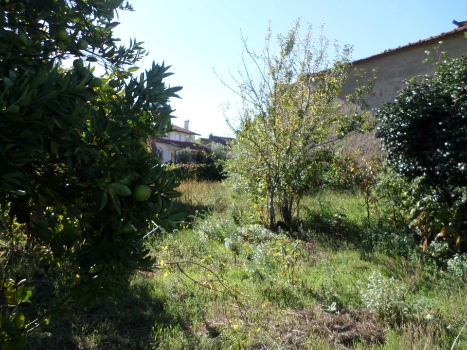 Moradia T3 para Venda em Sazes do Lorvão Foto 34