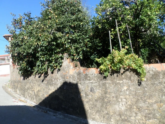 Moradia T3 para Venda em Sazes do Lorvão Foto 36