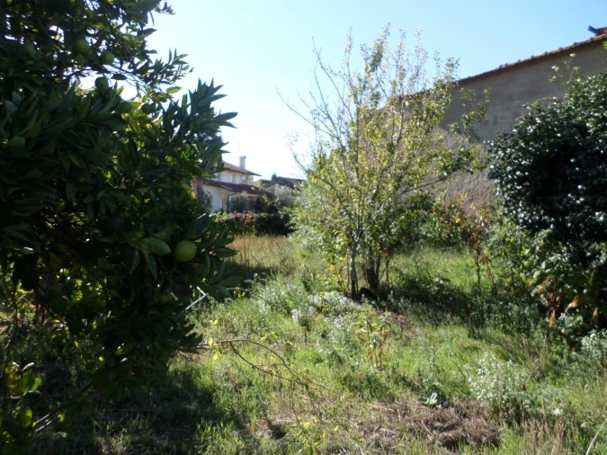 Moradia T3 para Venda em Sazes do Lorvão Foto 34