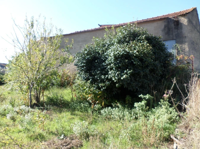 Moradia T3 para Venda em Sazes do Lorvão Foto 37