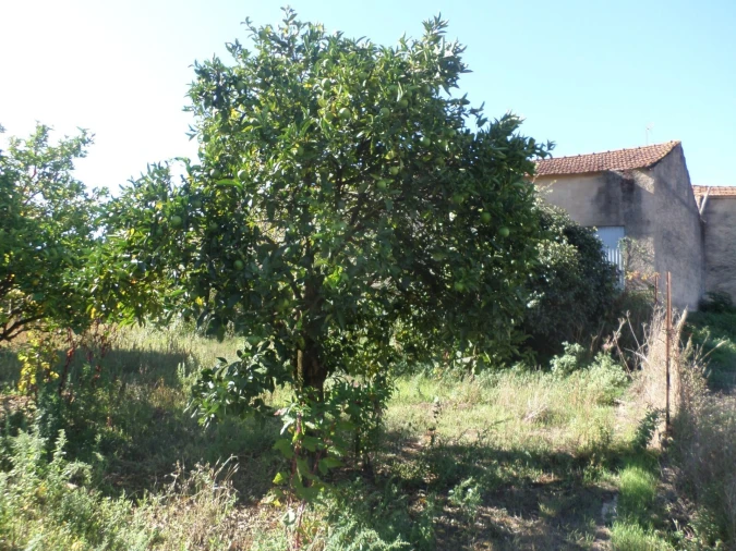 Moradia T3 para Venda em Sazes do Lorvão Foto 30