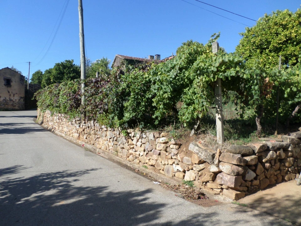 Moradia T3 para Venda em Sazes do Lorvão Foto 33