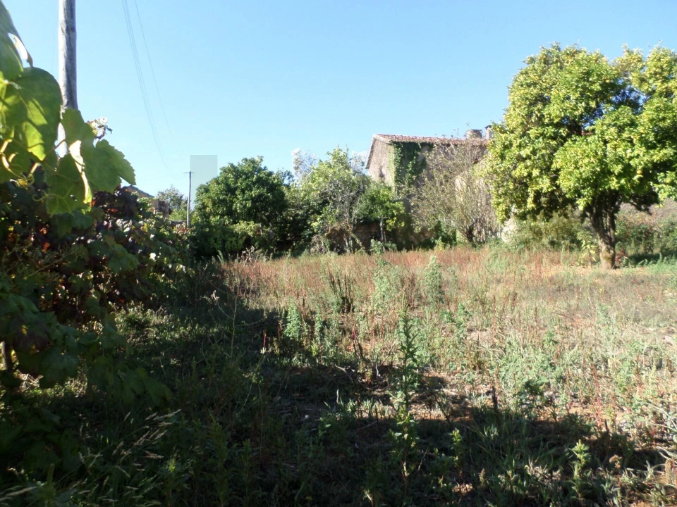 Moradia T3 para Venda em Sazes do Lorvão Foto 40