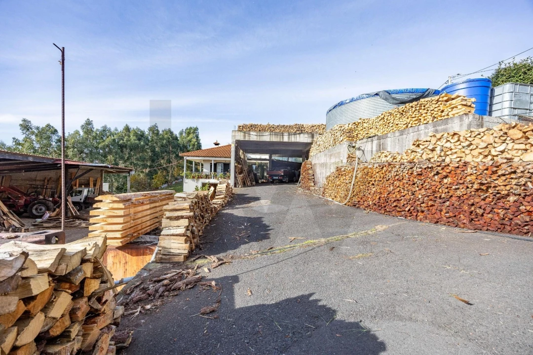 Moradia T3 para Venda em Camacha Foto 22