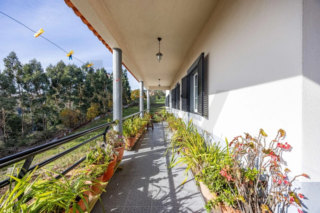 Moradia T3 para Venda em Camacha Foto 1