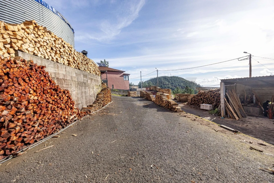 Moradia T3 para Venda em Camacha Foto 23