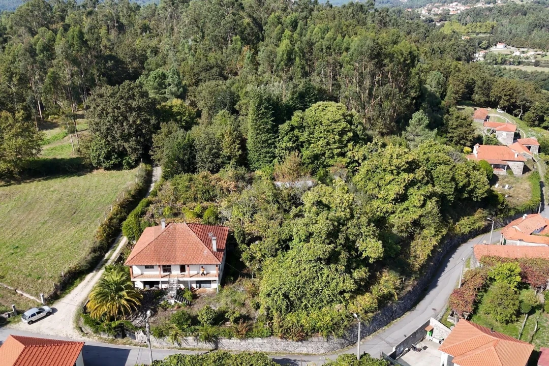 Moradia T3 para Venda em Bico e Cristelo Foto 1