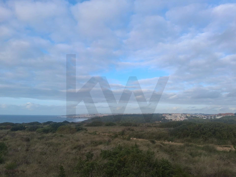 Terreno para Venda em Santa Maria e São Miguel, São Martinho, São Pedro Penaferrim Foto 5