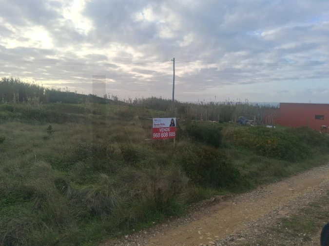 Terreno para Venda em Santa Maria e São Miguel, São Martinho, São Pedro Penaferrim