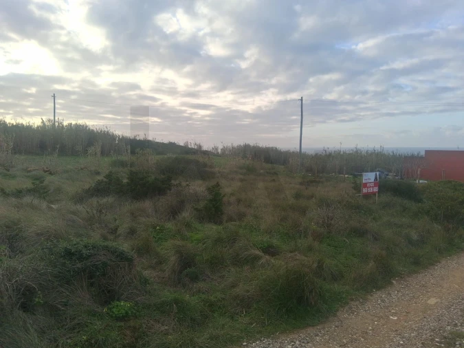 Terreno para Venda em Santa Maria e São Miguel, São Martinho, São Pedro Penaferrim Foto 3