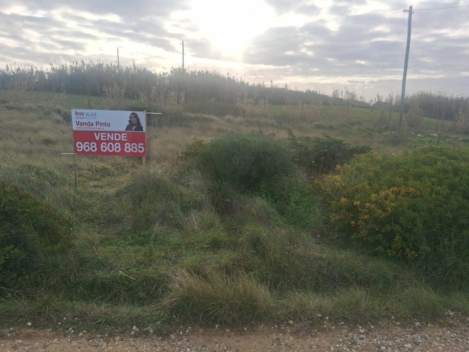 Terreno para Venda em Santa Maria e São Miguel, São Martinho, São Pedro Penaferrim Foto 2