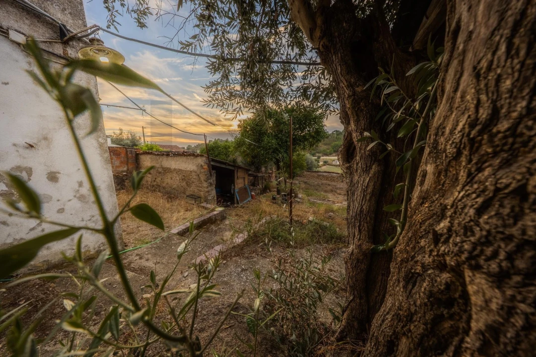 Moradia T3 para Venda em Belver Foto 26