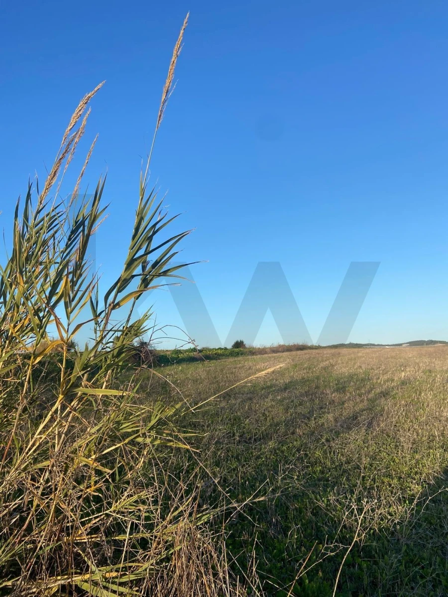 Terreno para Venda em Silveira