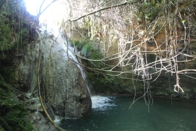 Moradia T2 para Venda em Almalagues