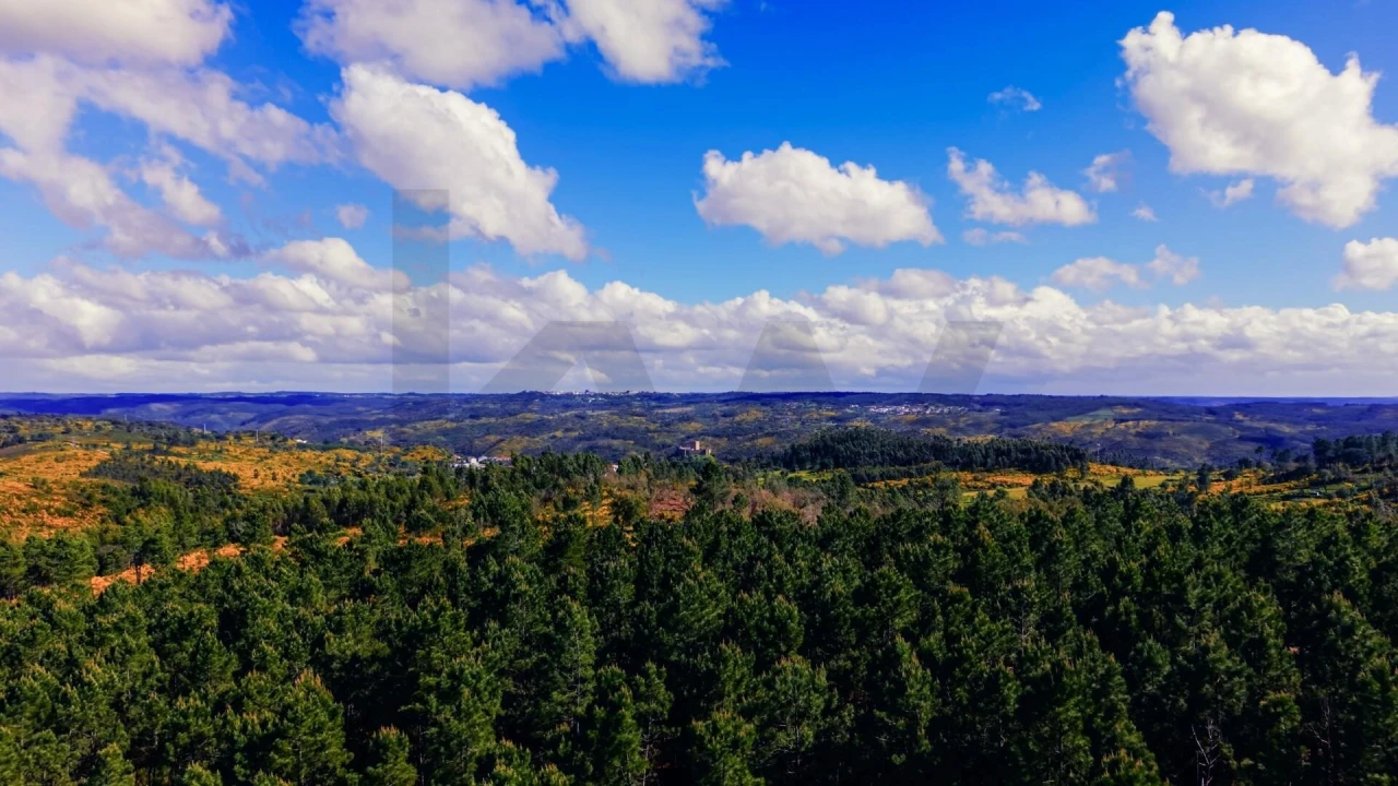 Terreno para Venda em Belver Foto 13